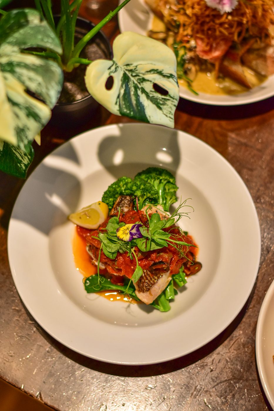 Pan-seared fish with tomato salsa and broccoli, a Mission Bay Restaurant dinner dish
